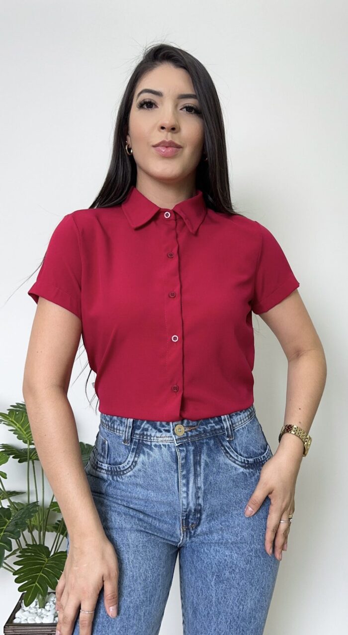 camisa sleeve