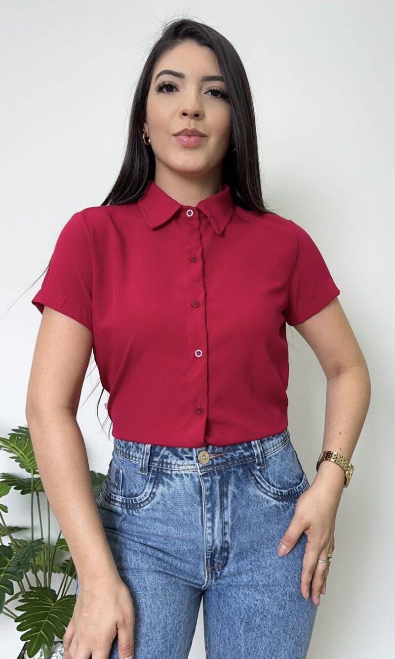 camisa sleeve