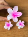kit fofura (cópia)