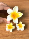 kit fofura (cópia)